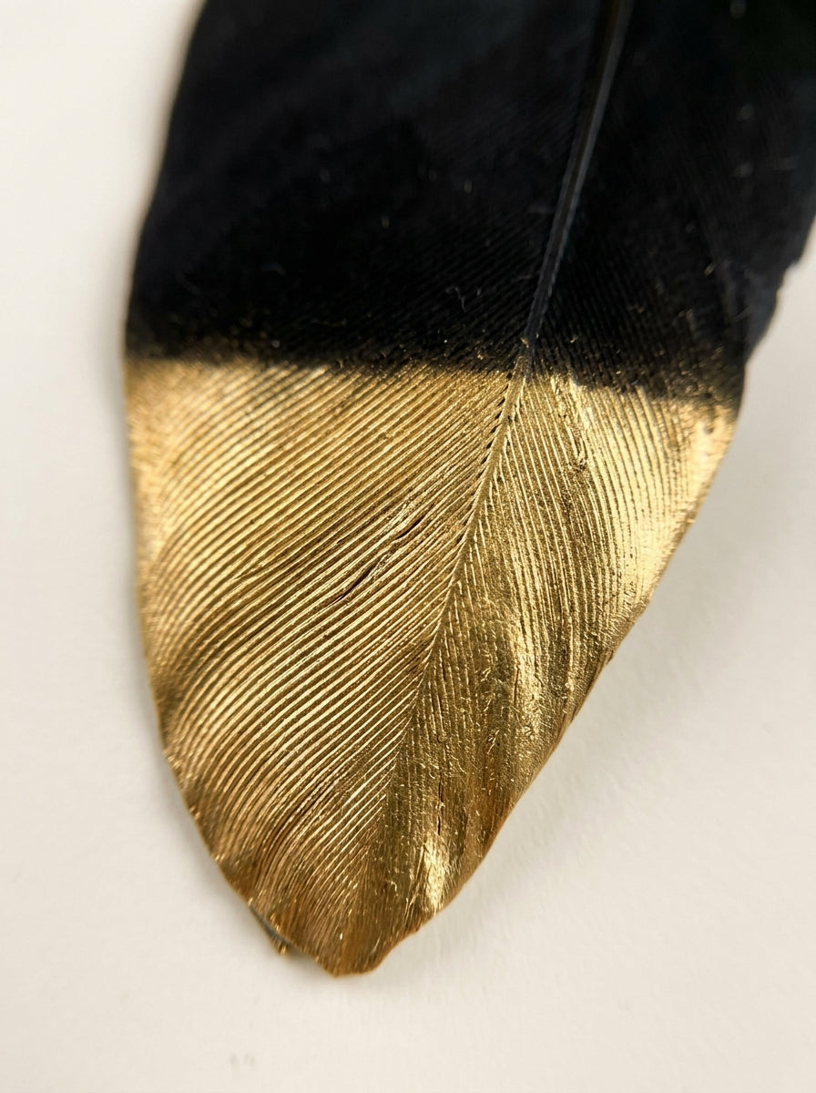Color: Black Gold | BlackGold-6.jpg