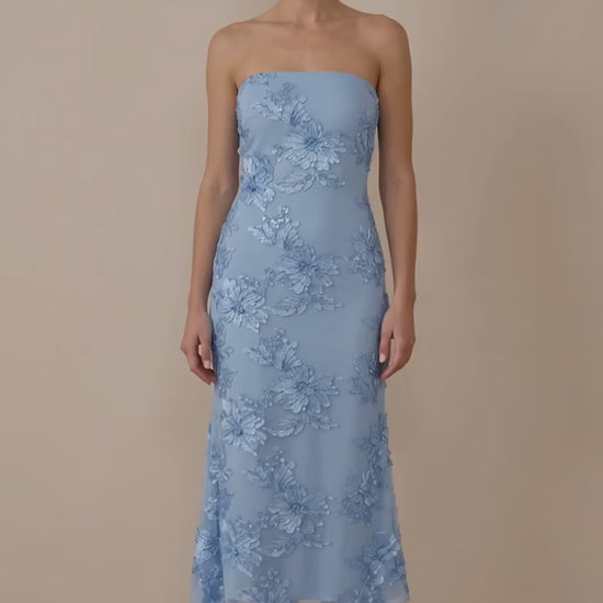 Video: Blue | Blue-7.mp4